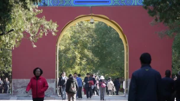 Cina-Ott 09,2016: Gli asiatici camminano nel parco dei cipressi, Cina Pechino porta rossa antico edificio — Video Stock