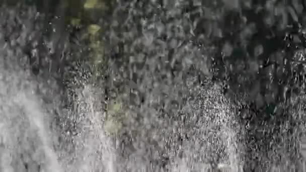 Spray de água de grama em madeiras, chuva sol no pano de fundo do gramado, fundo gotículas. — Vídeo de Stock