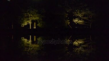 Orman yansıması gölün sakin sularında. Karanlık bir gece aynası gibi..