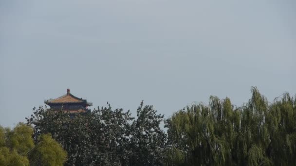 中国古建筑与北京中国森林. — 图库视频影像