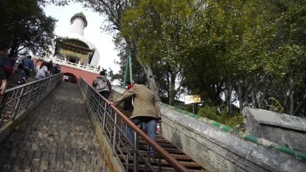 Çin-Ekim 09, 2016:Tourist Beyaz-Kule Pekin Çin için tırmanma taş merdivenle. — Stok video