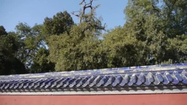 Çin kırmızı duvarı & çam, kraliyet antik mimarisi.