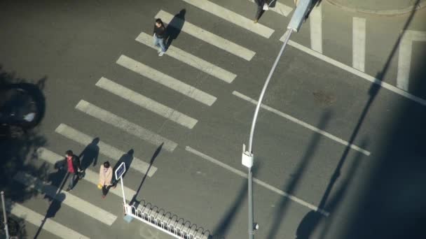 Vista aérea do crosswalk & tráfego em uma cidade urbana, cruzamento de zebra . — Vídeo de Stock