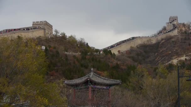 Visitante escalada Gran Muralla en la cima de la montaña, China arquitectura antigua, fortres — Vídeos de Stock