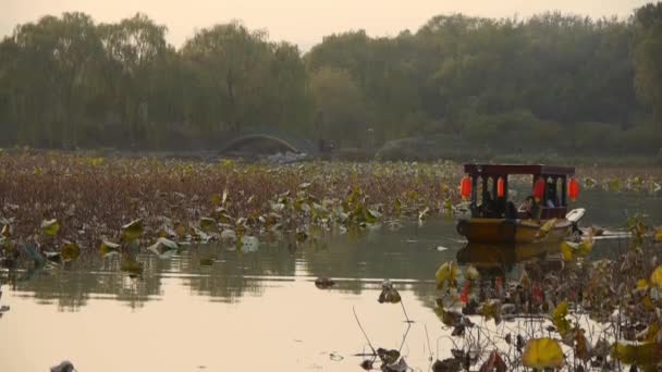 Chian-Ağu 22, gün batımı Nehri üzerinde yelken 2017:boat. — Stok video