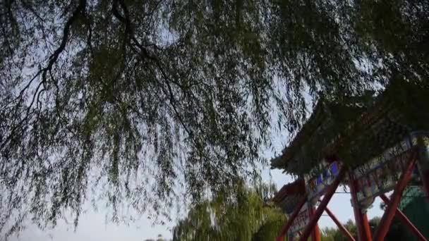 柳をスイング ・北京で中国古代のメモリアル アーチを方向づける. — ストック動画