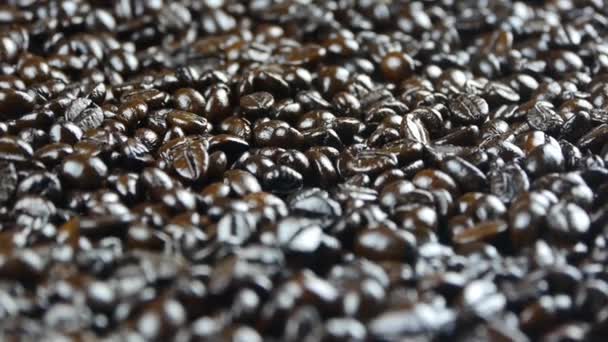 Coffee beans closeup,drink. — Stock Video