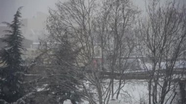 düşen kar tanesi, evin çatı ve orman.