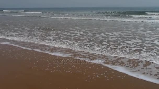 황금빛 해변의 바다 물결. — 비디오
