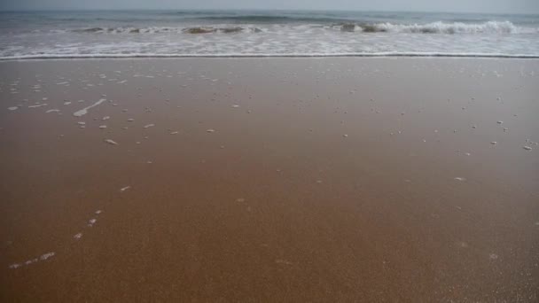 Ondas oceánicas en la playa dorada. — Vídeo de stock