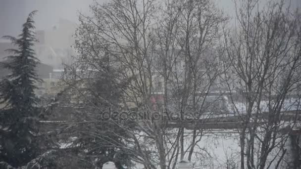 Caduta fiocco di neve, tetto della casa & foresta . — Video Stock