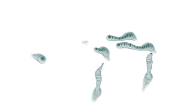 4 k soyut 3d Biyoloji metal topları, split bakteri sporları Mikrobiyoloji solucan.