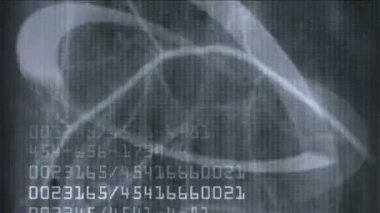 4 k insan parmağı kemik taraması, teknoloji tıbbi X-ray veri, tıbbi araştırma vücut sağlığı.
