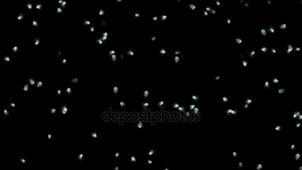 4 k drijvende plankton & micro-algen, worm insect vliegt deeltje kunst achtergrond. — Stockvideo