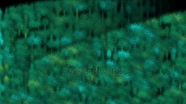 4 k ot otlar çalılar bitki Yaylası, hasat yemyeşil yaprakları, mikrop bakteri spore