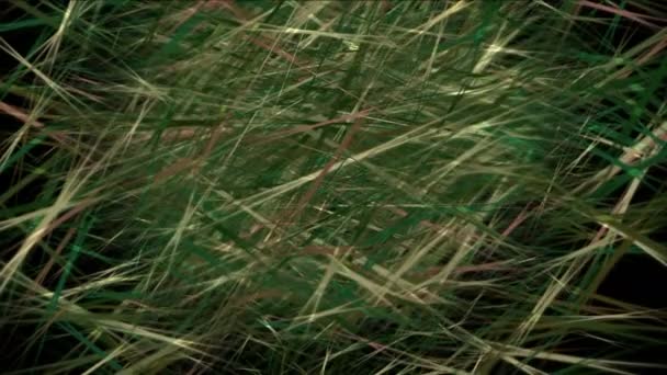 4k Трав'яні бур'яни пасовища фон, трав'яний чай, зелений очерет чагарників рослини фон — стокове відео