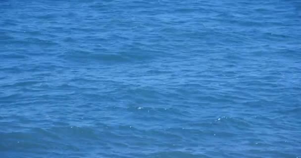 4k video, mar océano ola . — Vídeo de stock