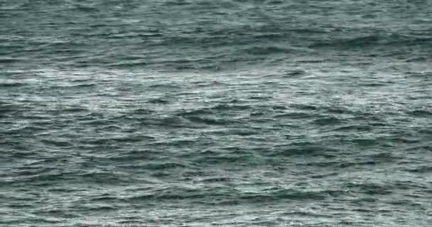 4k vidéo, mer océan vague .