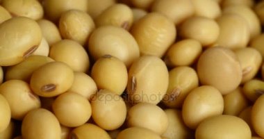 4 k soya fasulye closeup, tohum gıda ham madde, lezzetli yemekler tohum fasulye.