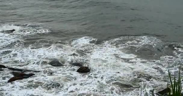 4k sparkling ocean sea water waves surface&coastal rock reef coast surge shore. — Stock Video