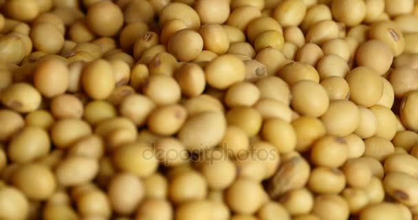4 k 用手摘大豆豆，食品原料，美味的菜肴黄豆的种子 — 图库视频影像