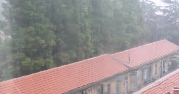 4k Ventana Gotas de lluvia, techo rojo y árbol oscilante . — Vídeo de stock