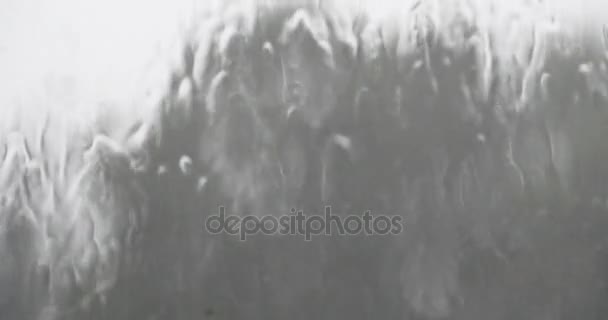 Gotas de chuva de janela 4k, árvore balançando . — Vídeo de Stock