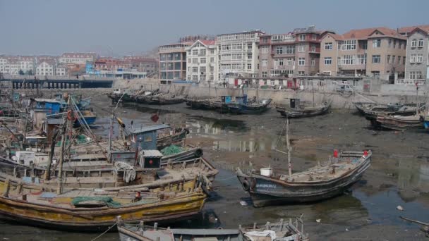 China-Sep 22,2016:China seaside town,boats in port. — Stock Video