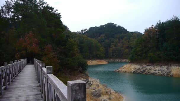 Bosque sobre la isla y el lago verde oscuro, puente de piedra . — Vídeos de Stock