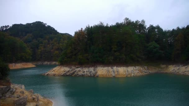 Bosque sobre isla y lago verde oscuro . — Vídeo de stock