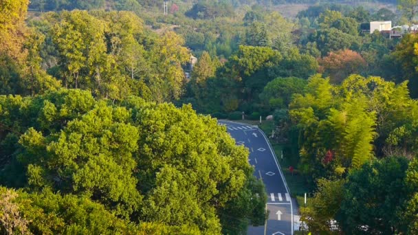 A légi felvétel a dombos erdei út: ősz, autók az úton. — Stock videók