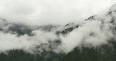 sabah sis çam ağaçları, Bomi İlçesi Tibet'te yükselen 4 k dağ sis.