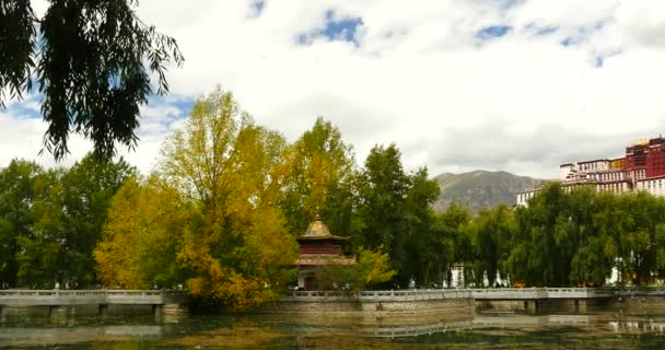 4k Potala reflection on lake in Lhasa park,Tibet.lake with willow. — Stock Video