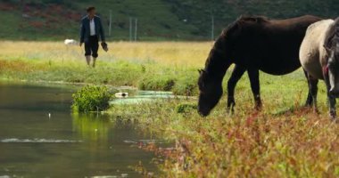 4 k at otlatma otlak, shangri-la yunnan, Çin.