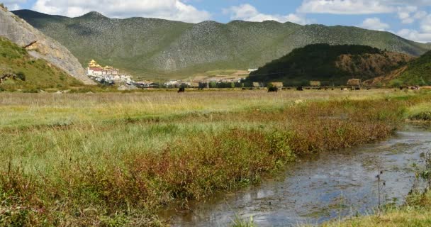 4k Fluss in der Prärie, Wolkenmassen rollen über Berge, weit entfernter Tempel. — Stockvideo