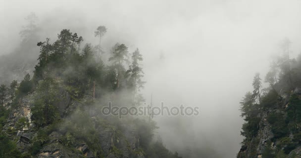 4 k hegyi köd emelkedik a reggel köd fák, Bomi megye, tibet. — Stock videók