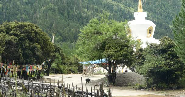 China-sep 2, 2016:4 k tibet mensen lopen in dorp Stupa Boeddhistische wit. — Stockvideo