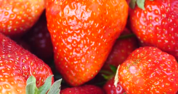 4k Rotation von köstlichen Erdbeeren. — Stockvideo