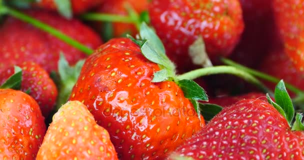 4 k 旋转的美味的草莓. — 图库视频影像