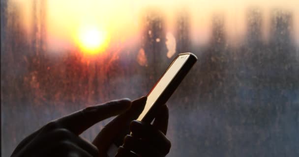 4 k surfning nyheter på Smartphone, sökinformation på hemsida i solnedgången. — Stockvideo