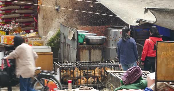 Čína-Sep 12, 2016:4 k ženě prodejní žijící kuře na zemědělce trhu v shangri-la trh, Čína. — Stock video