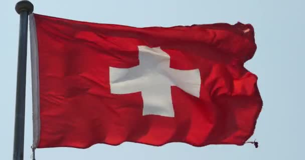4k La bandiera svizzera sventola nel vento . — Video Stock