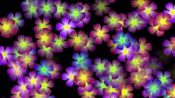4 k 色の花の花びら自然ネオン パターン ・ カラフルな配列行列背景. — ストック動画