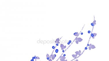 4 k artan bahar daisy kış Yasemin çiçek dalları bitki örtüsü bitki.