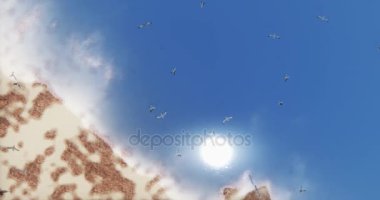 4k sakin okyanus su yüzeyi ve ada üzerinde uçan martılar, güneş yansıtmak gölde hava.