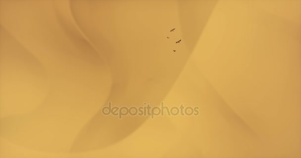 Aigles aériens 4k survolant le désert et les dunes de sable, l'ombre des oiseaux est projetée dans le désert . — Video