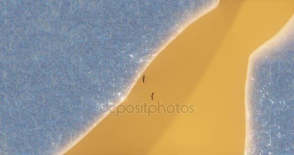 4k Luftaufnahme von Adlern, die über der Wüste und dem blauen See schweben, langer Sandstrand mitten im Ozean. — Stockvideo