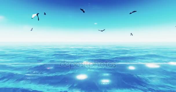 4k Gaviotas volando sobre la superficie del agua del océano . — Vídeos de Stock