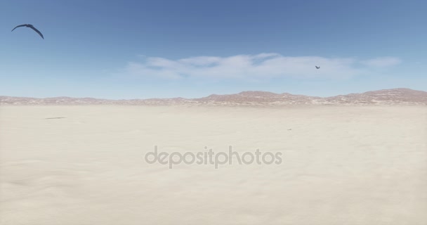 4k Dos águilas flotando en el desierto, sombra de águilas proyectada sobre el suelo . — Vídeo de stock