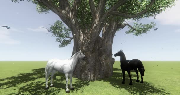 4 k bílém koni  černém koni pod velký strom, motýl  pták letící, plovoucí Pampeliška, hříbě pet zvířat divoký život na farmě.